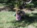 Scott in backyard 001