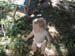 Scott in backyard 005
